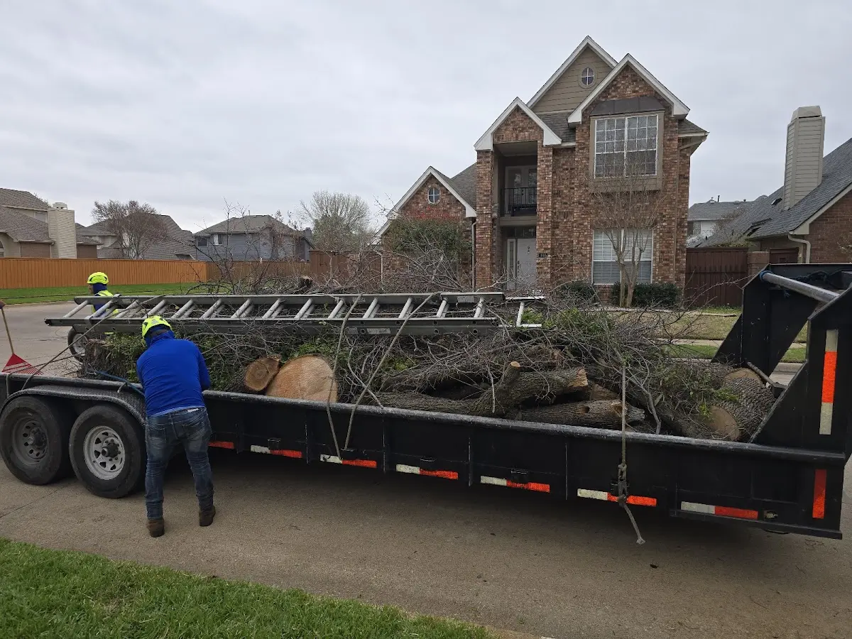 Expert Tree Fertilization with proper safety equipment in Cullom